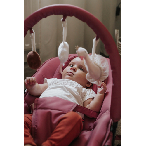 Tryco Swan Ivy Pink Baby Bouncer with plush toy - საბავშვო საქანელა-ბაუნსერი - image 8 | Labebe