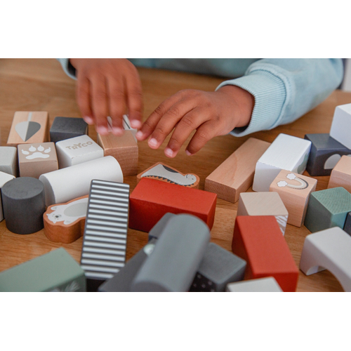 Tryco Wooden Block Set 50 pcs - Деревянная развивающая игрушка - изображение 7 | Labebe