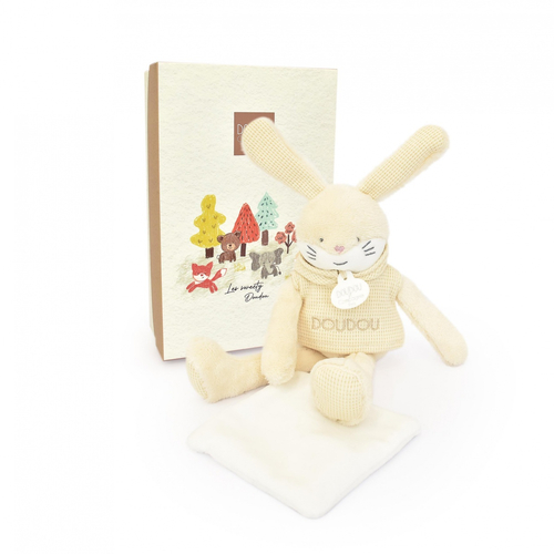 Sweety Doudou Bunny - რბილი სათმაშო პირსაწმენდით - image 1 | Labebe
