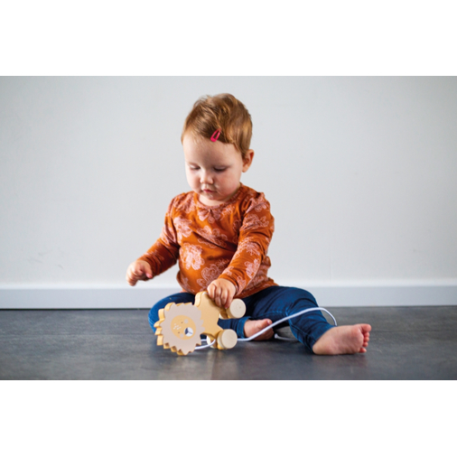 Tryco Wooden Pull - Along Toy Crocodile - ხის განსავითარებელი სათამაშო - image 2 | Labebe