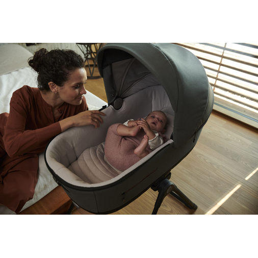 Inglesina Aptica XT Darwin Magnet Grey - Baby modular stroller - image 10 | Labebe