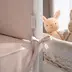 Perina Teddy Sateen Collection Beige - Baby bedding set - image 7 | Labebe