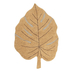 Lorena Canals Monstera Honey - რეცხვადი ხელნაკეთი ხალიჩა - image 1 | Labebe